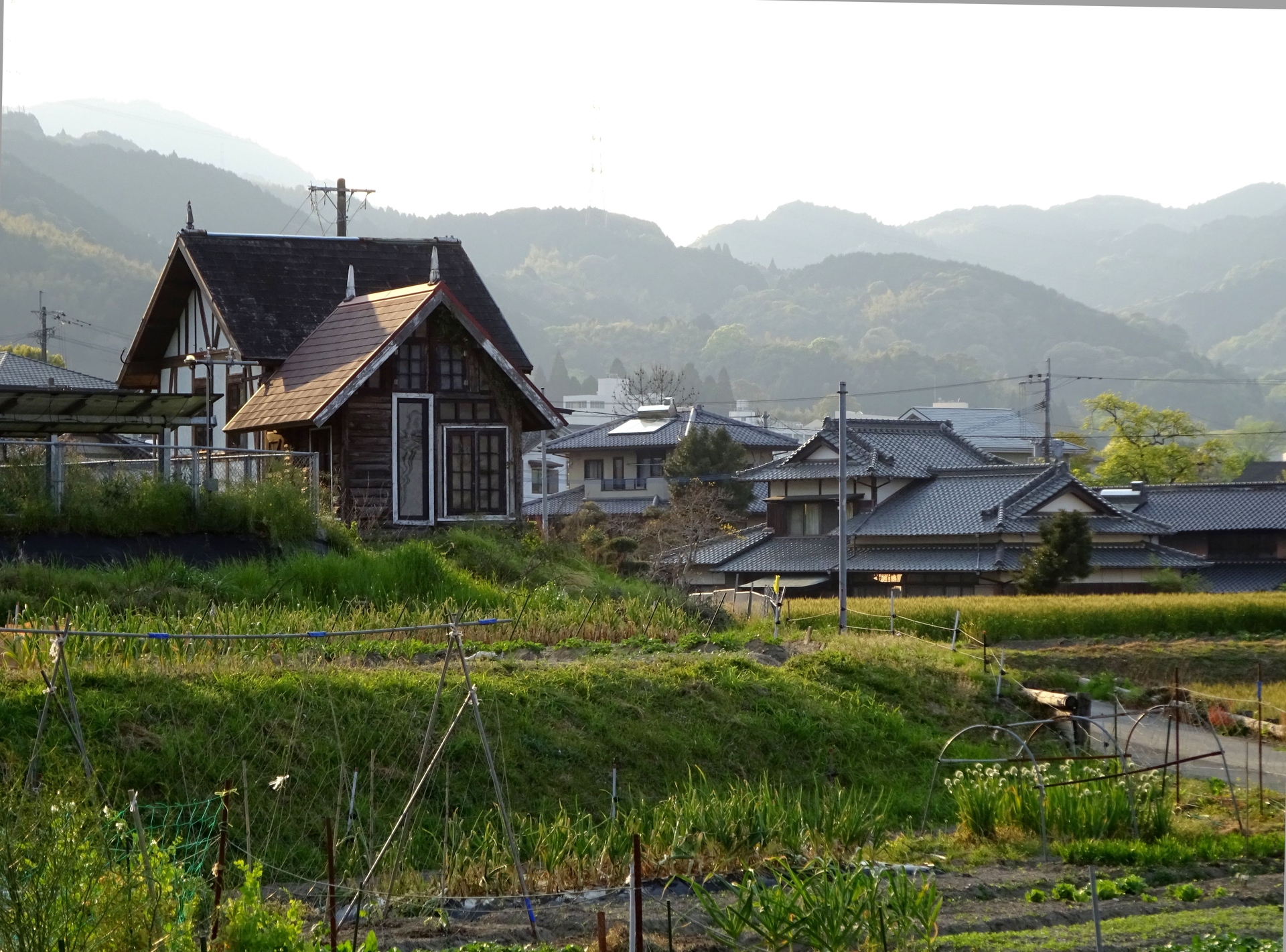 日本の風景 春 里の夕暮れ 壁紙19x1422 壁紙館