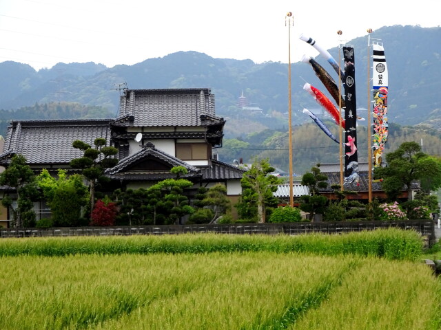 5月の里風景