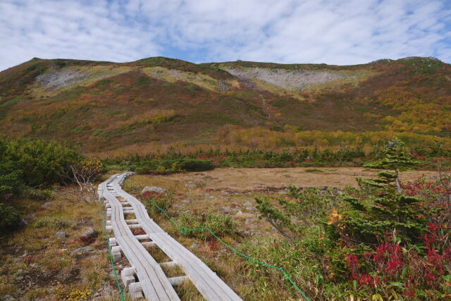 白馬乗鞍岳への道