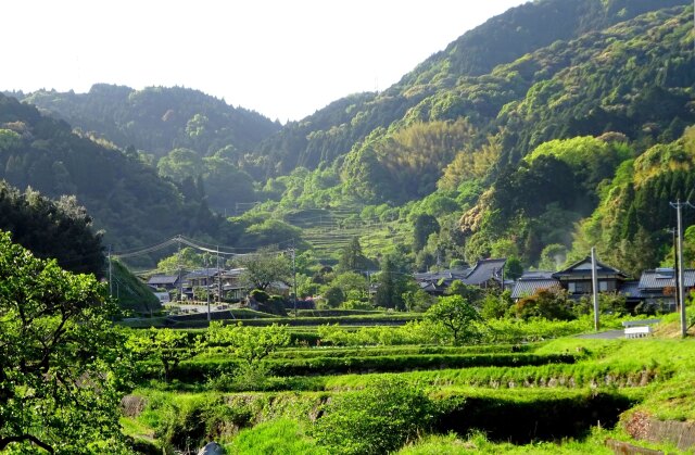 新緑の山里