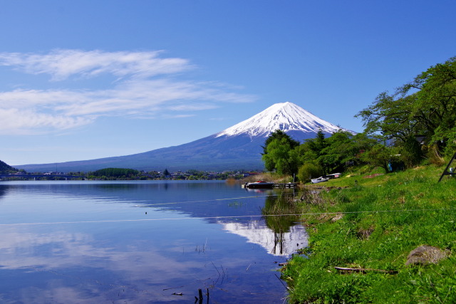 新緑の河口湖畔