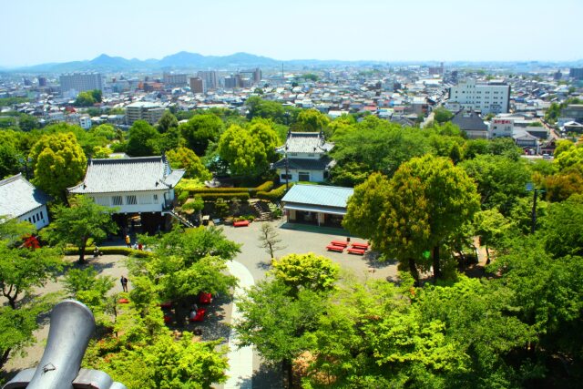 新緑の犬山城