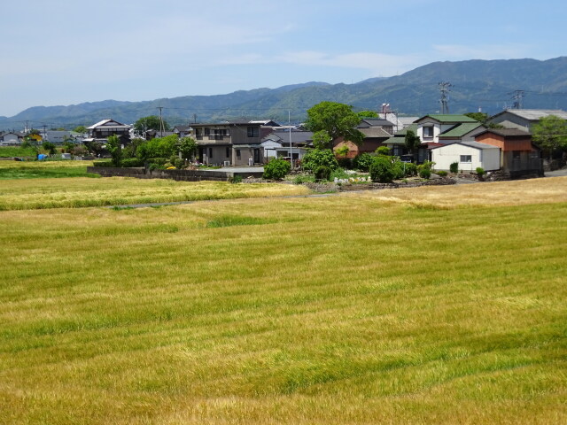 吹き渡る五月の風