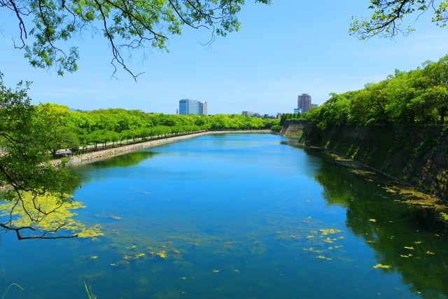 新緑の大阪城公園