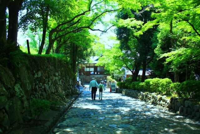 新緑の犬山城