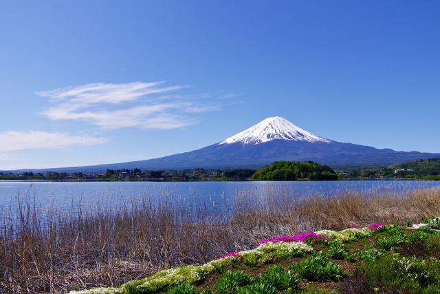 初夏の河口湖