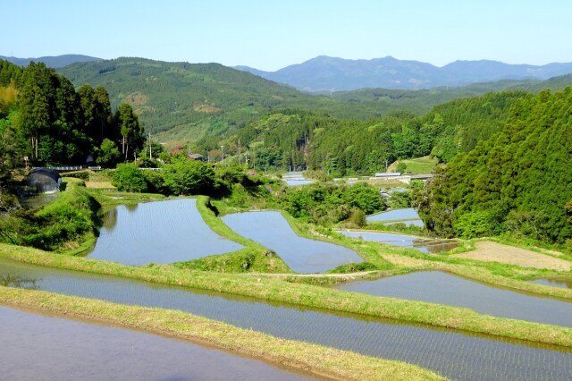 田植え時期の山村棚田