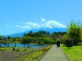 新緑の富士山