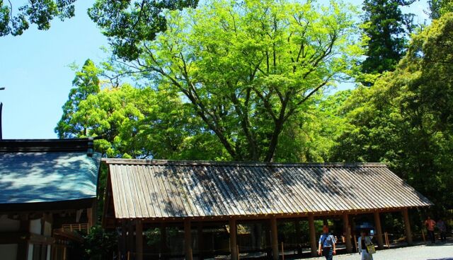 新緑の伊勢神宮