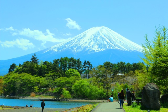 新緑と富士山