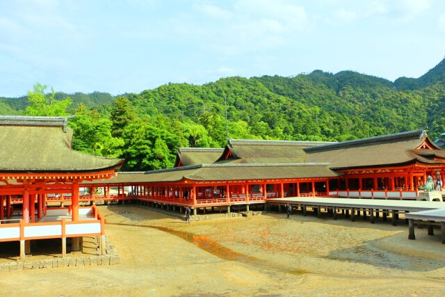 新緑の厳島神社