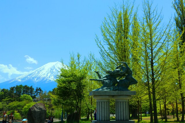 新緑と富士山