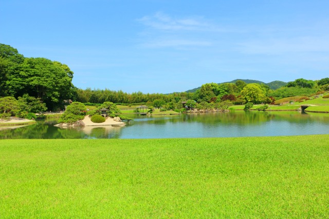 新緑の後楽園