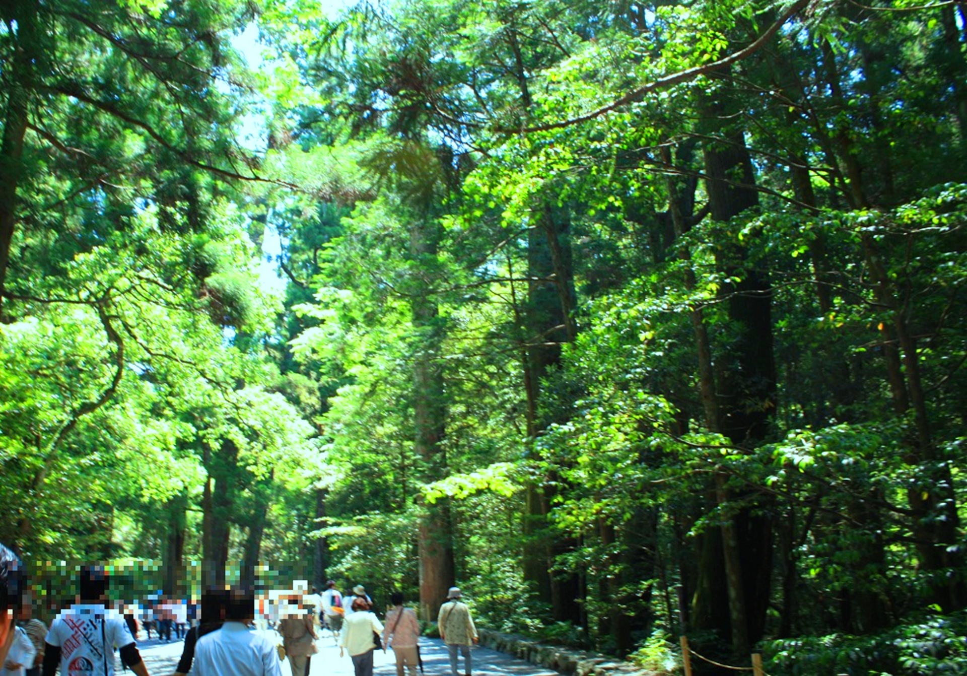 日本の風景 新緑の伊勢神宮 壁紙19x1342 壁紙館