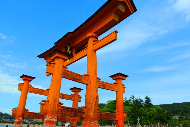 新緑の厳島神社