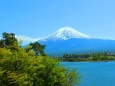 新緑の富士山