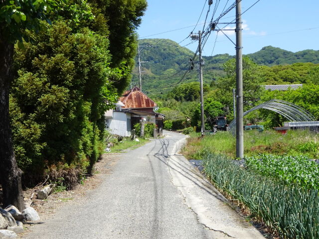 五月晴れの田舎道