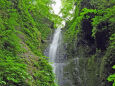 桂の滝 初夏