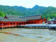 新緑の厳島神社