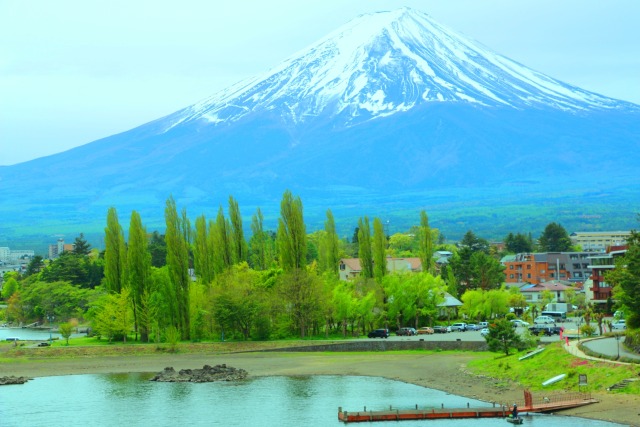 新緑と富士山