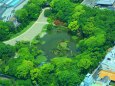 新緑の天王寺公園
