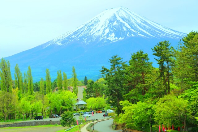 新緑と富士山