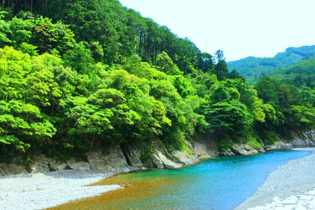 新緑の清流銚子川