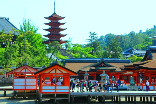 新緑の厳島神社