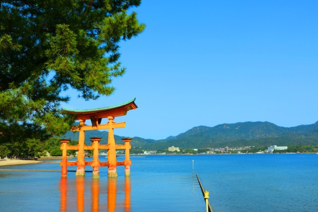 新緑の厳島神社