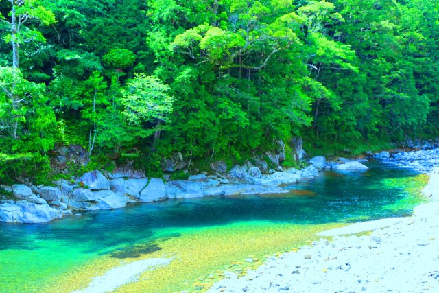 新緑の清流銚子川