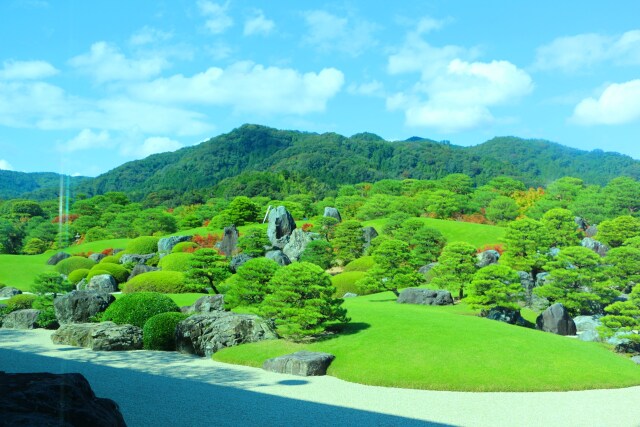 新緑の足立美術館