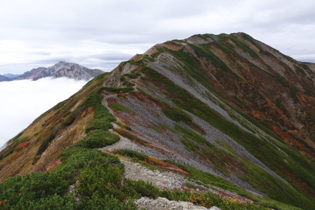 坂の上の雲の山