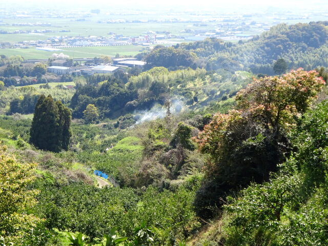 初夏の里山から