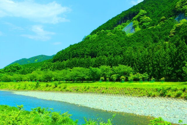 新緑の清流銚子川