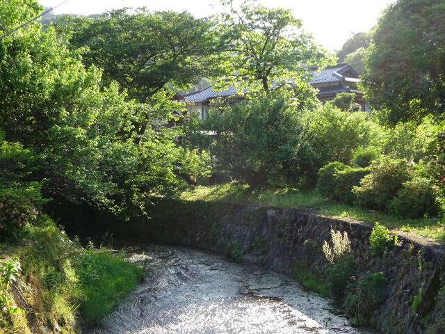 新緑の山里