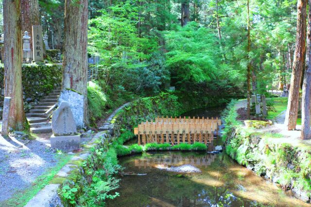 新緑の高野山