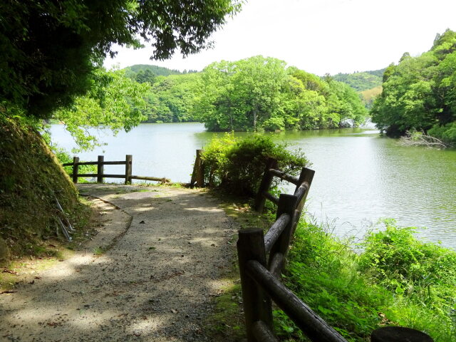 山上湖の遊歩道