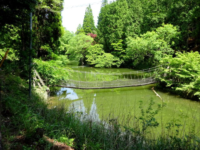 山上湖の狭い入り江