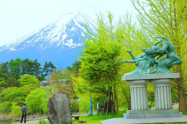 新緑の富士山