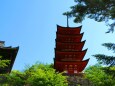 新緑の厳島神社