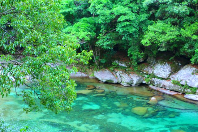 新緑の魚飛渓谷