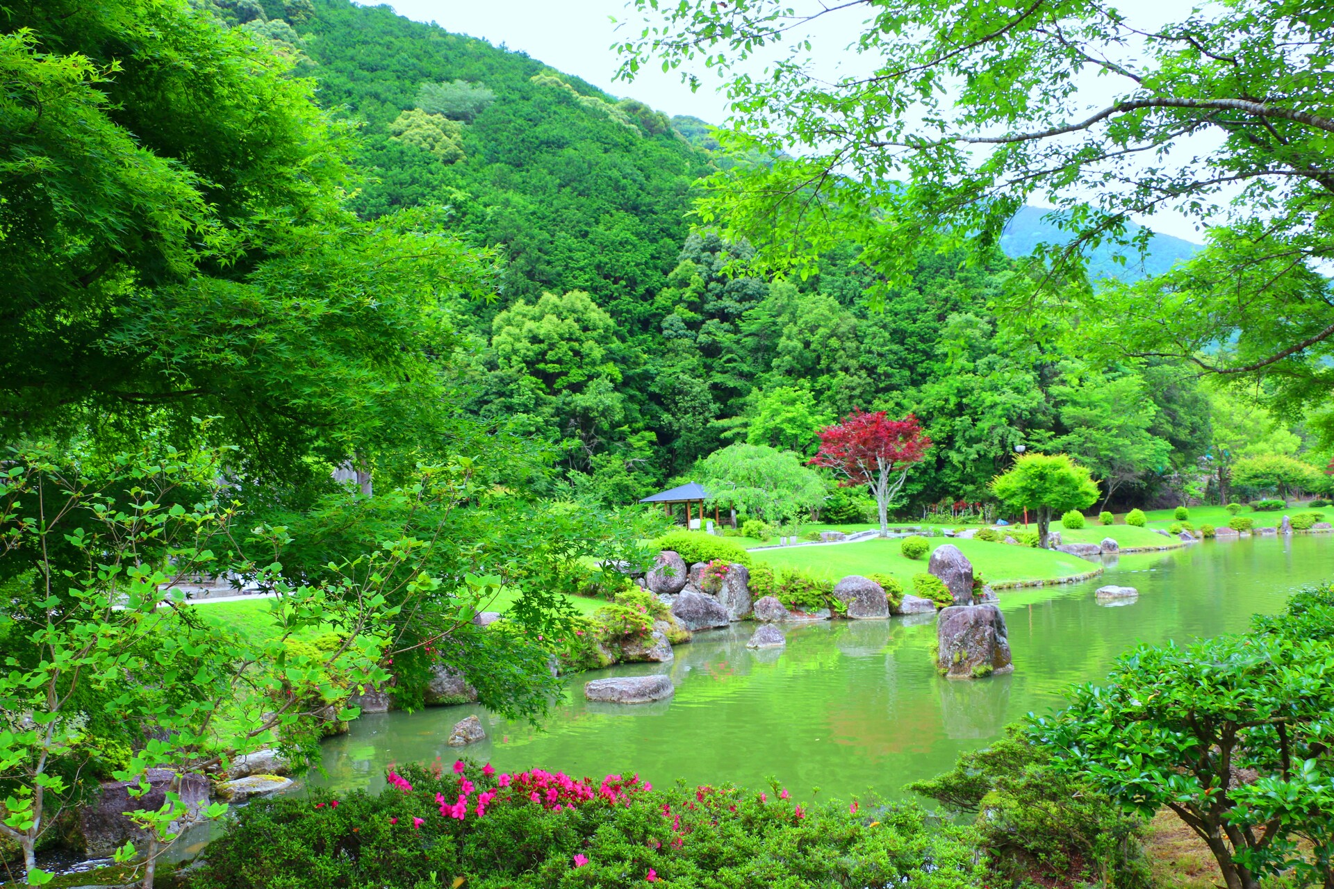 日本の風景 新緑の日本庭園 壁紙19x1280 壁紙館