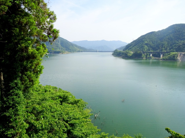 初夏のシャクナゲ湖