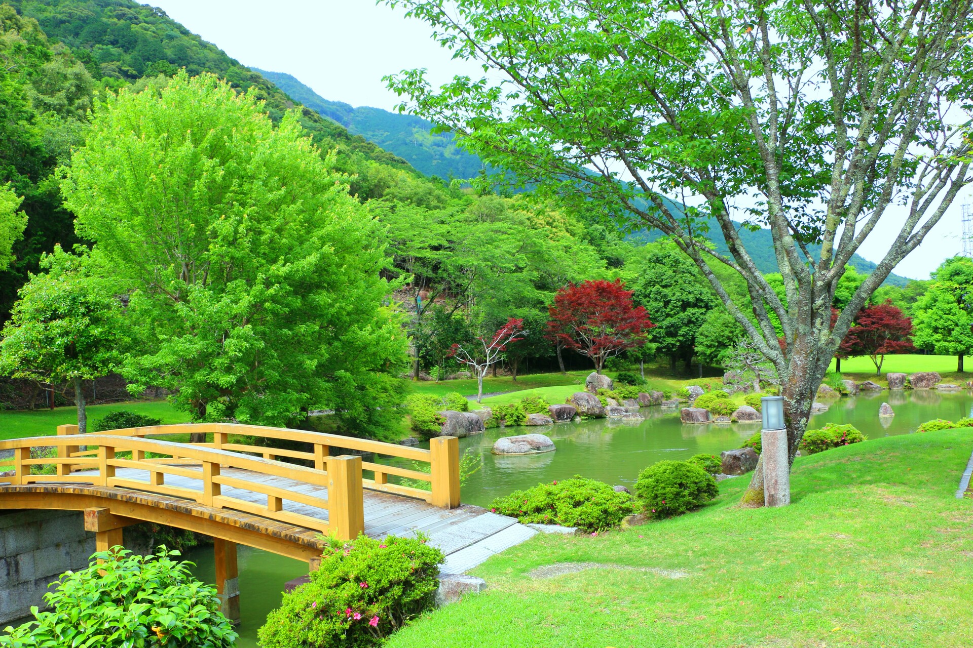 日本の風景 新緑の日本庭園 壁紙19x1280 壁紙館