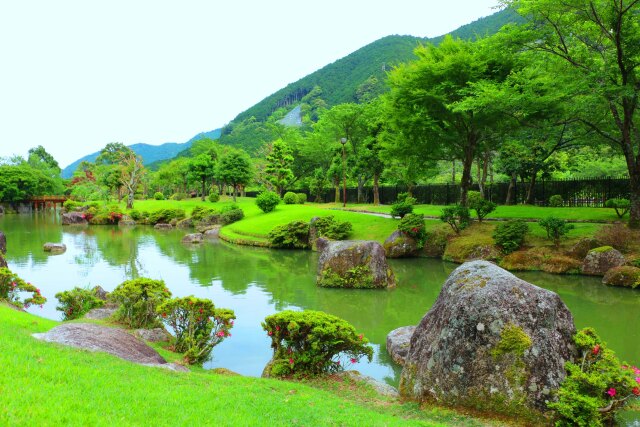 新緑の日本庭園