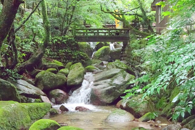 渓流の小さな橋