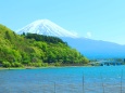 新緑と富士山