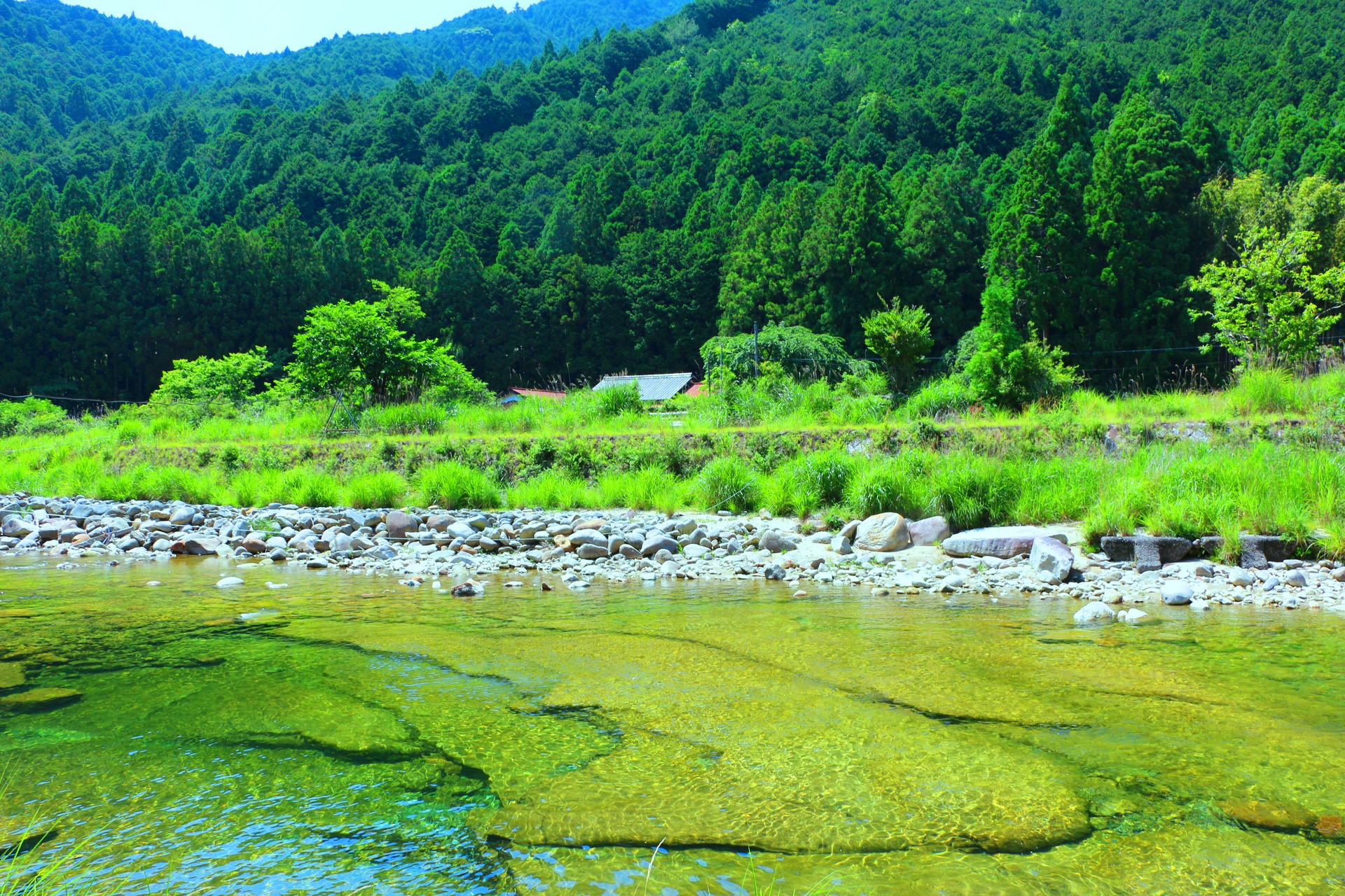 日本の風景 初夏の清流 壁紙19x1280 壁紙館