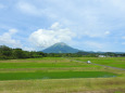 大山 水田 夏