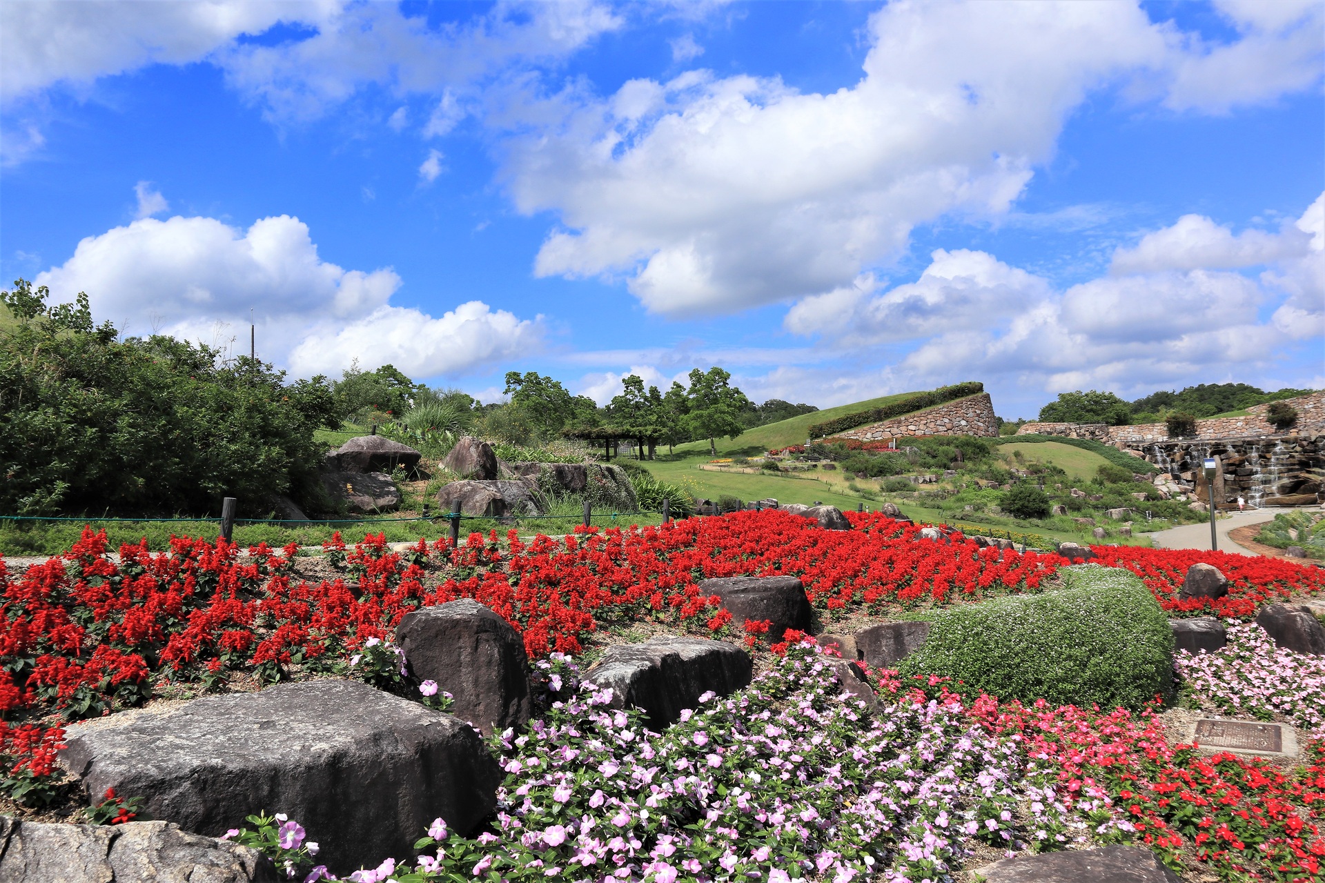 日本の風景 6月のまんのう公園 壁紙19x1280 壁紙館